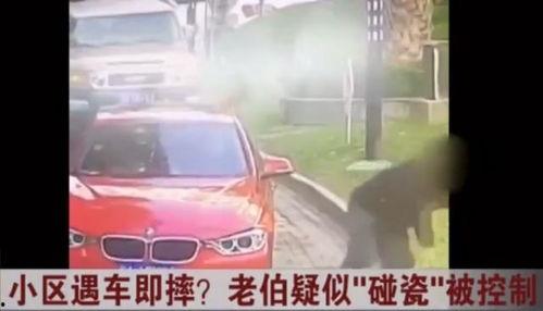 老伯碰瓷爆料视频大全,老伯碰瓷爆料视频大全深度解析